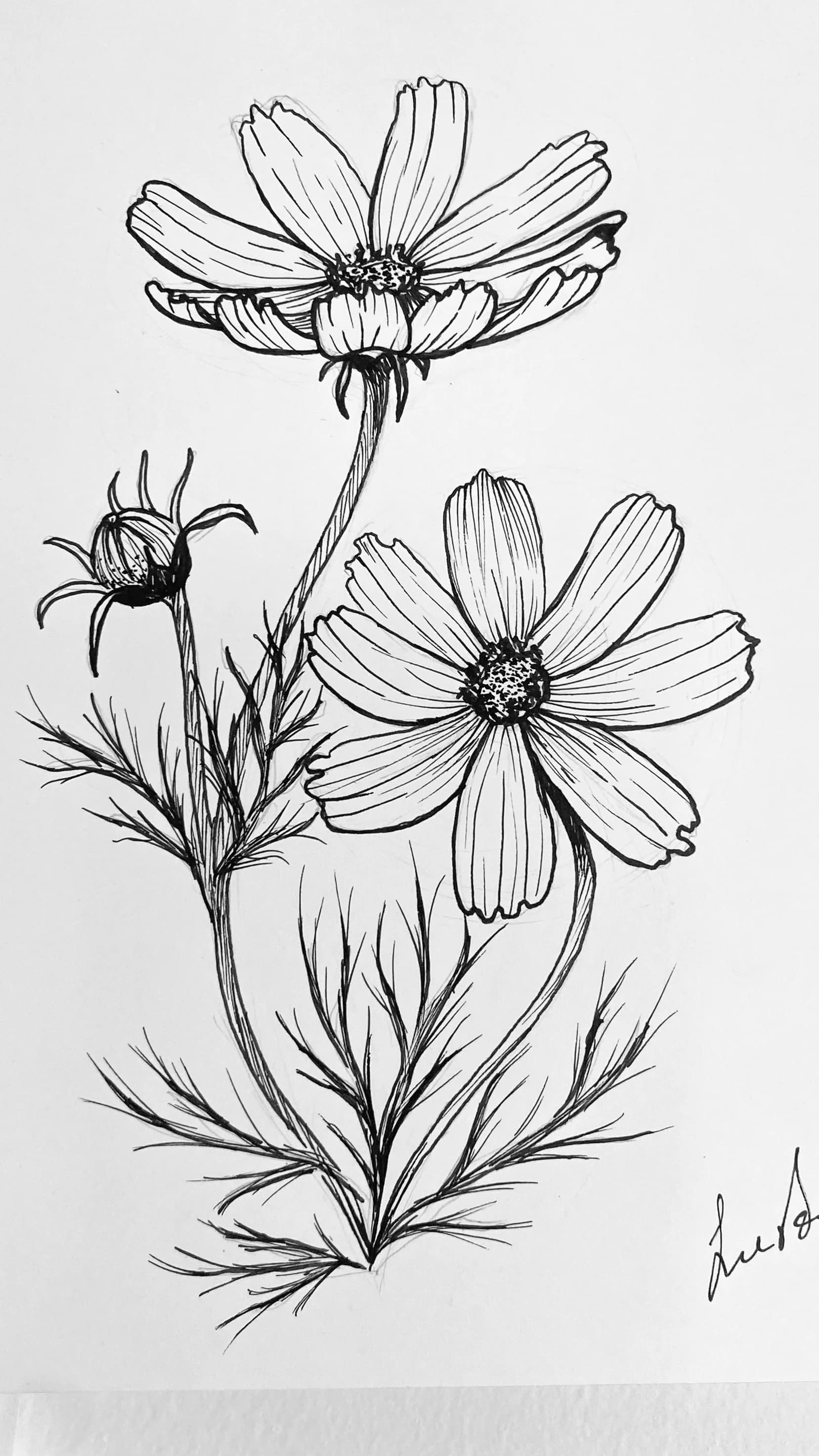 Three Wild Blooms