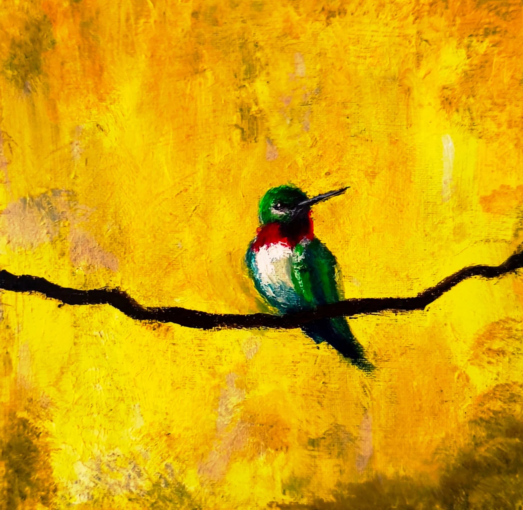 Hummingbird in Golden Light