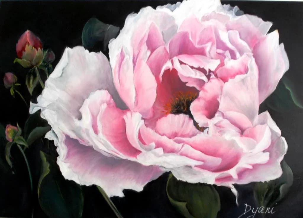 Peony in Full Bloom