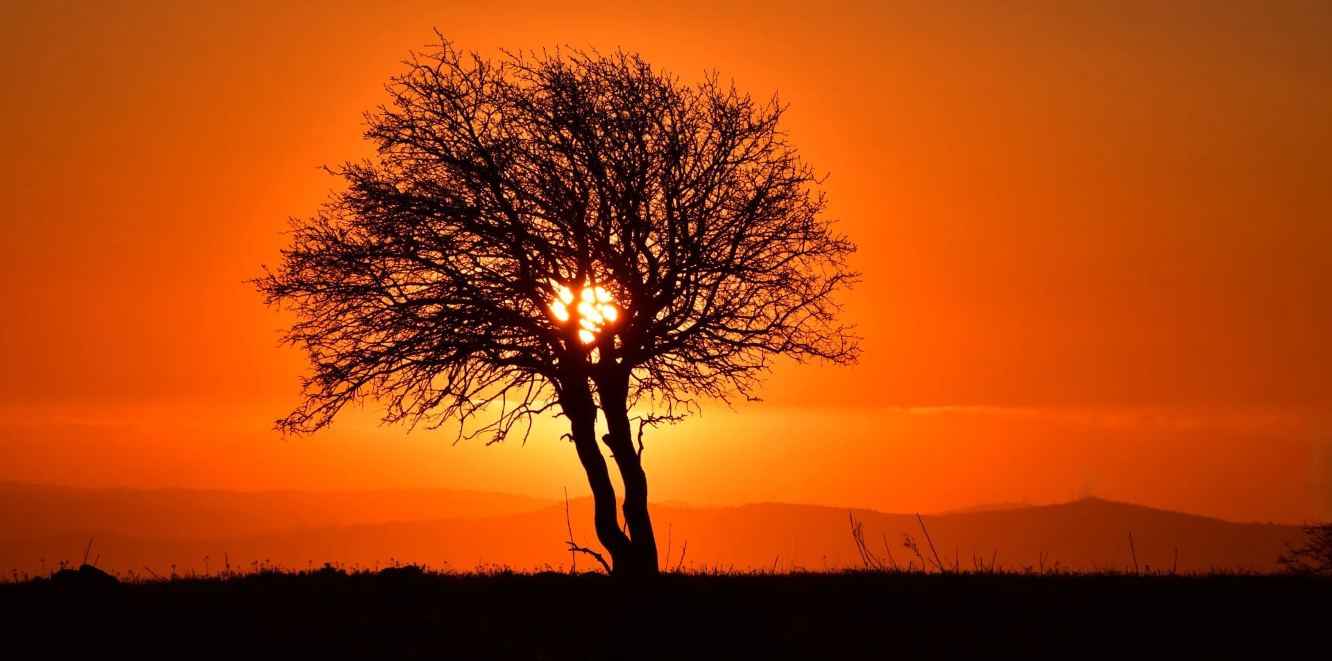 Magestic Sunset