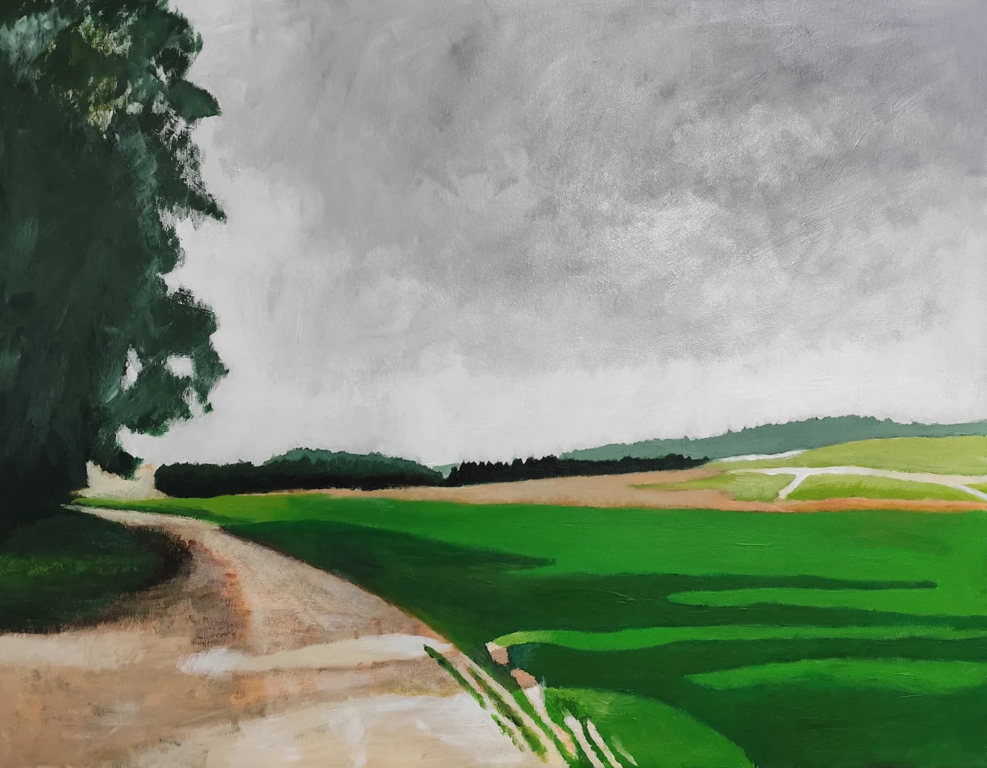 Road Beneath a Silver Sky