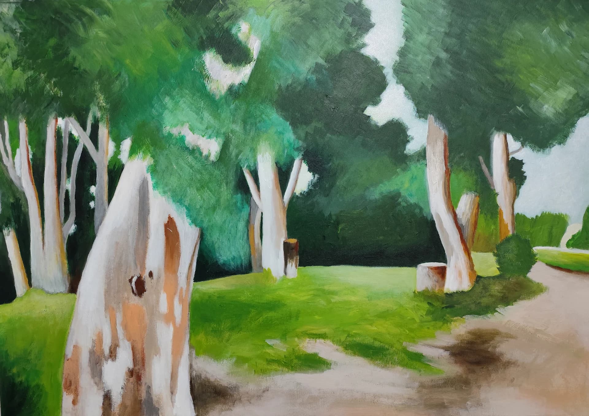Path Through Green Shade