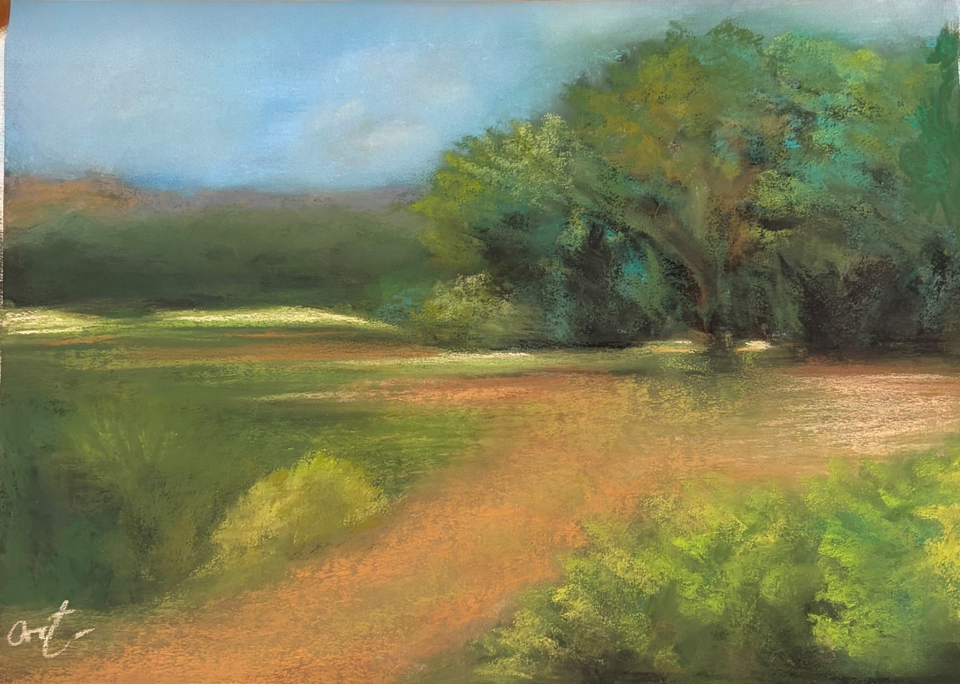 Path into the field