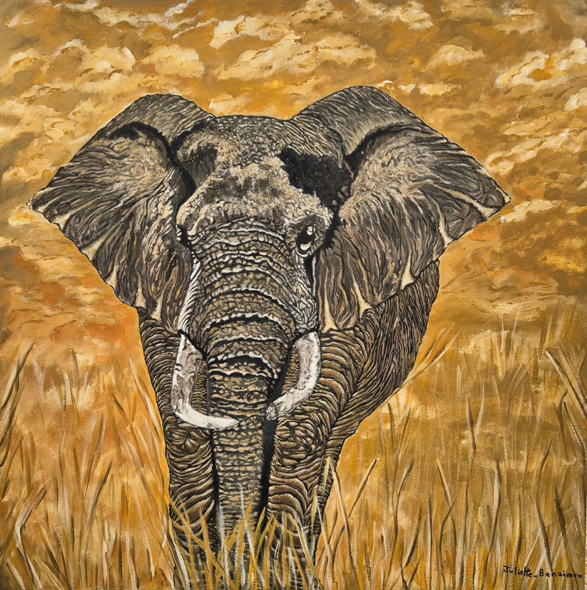 African Savanna Elephant
