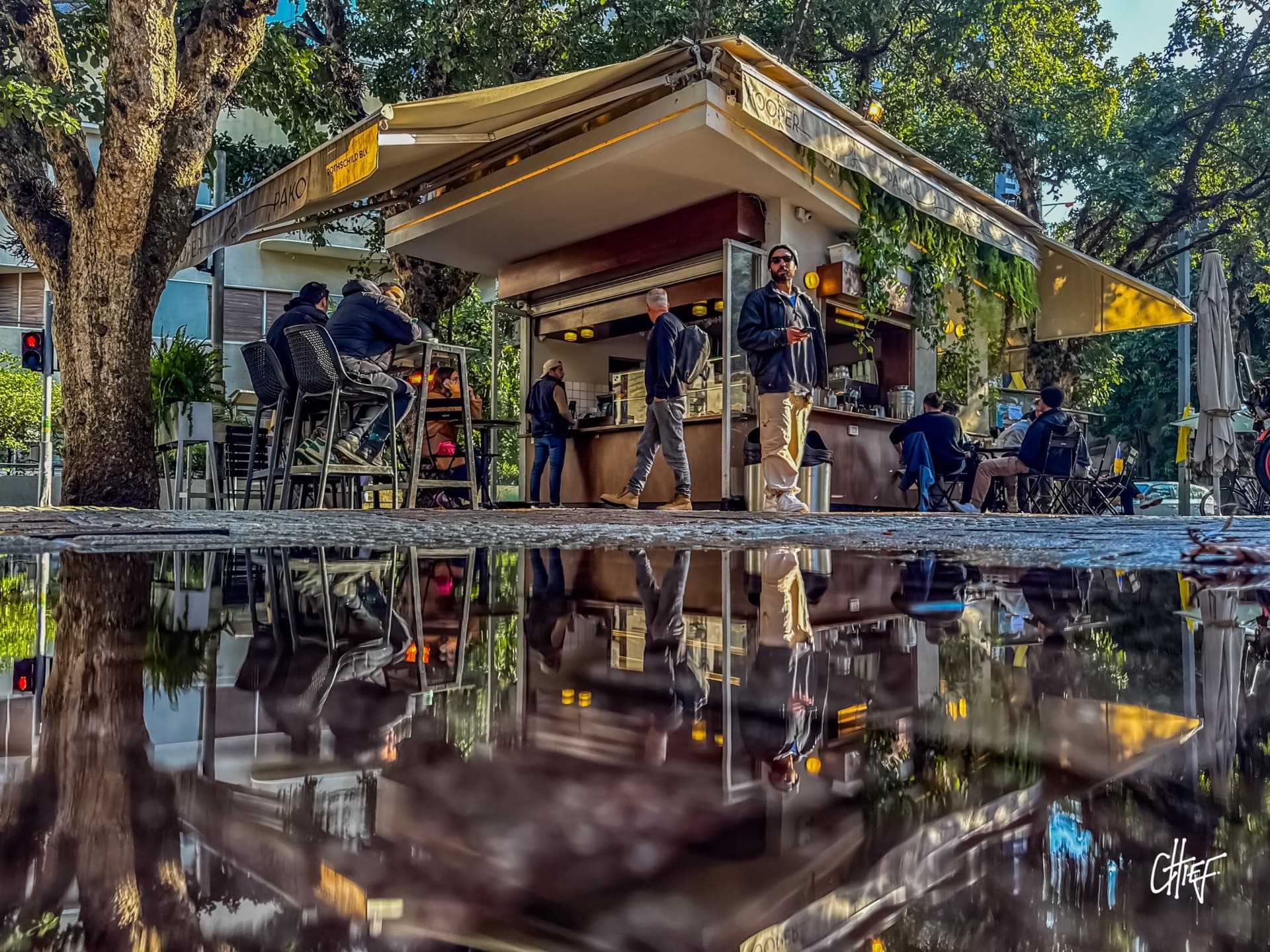 Reflections. Served Daily.