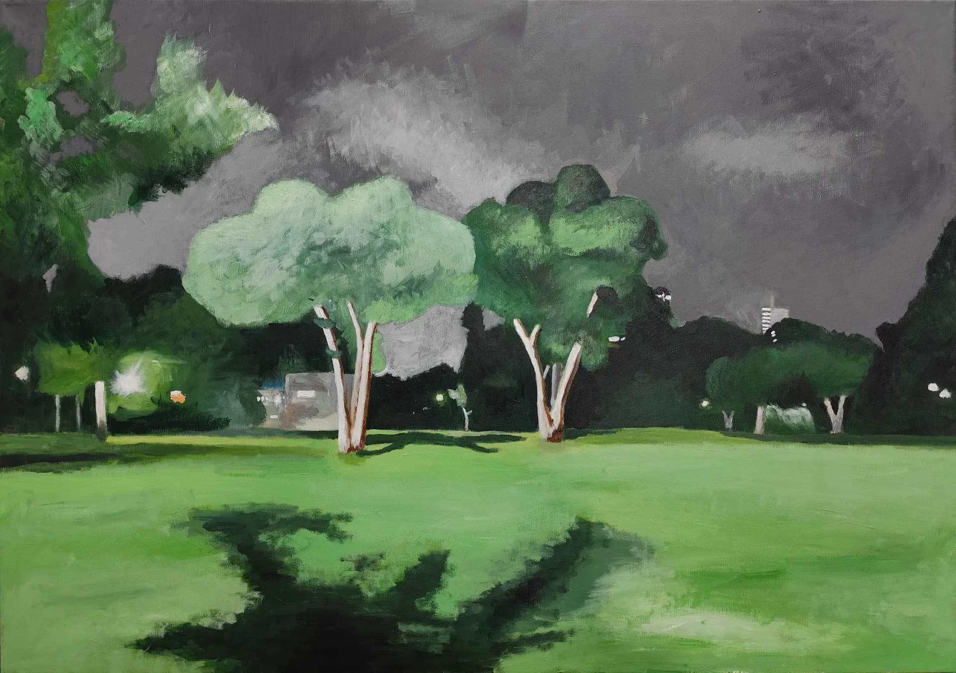 Park Under a Gray Sky