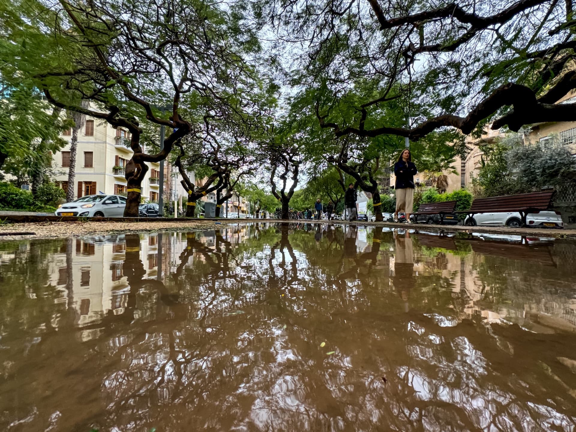 Boulevard Mirror