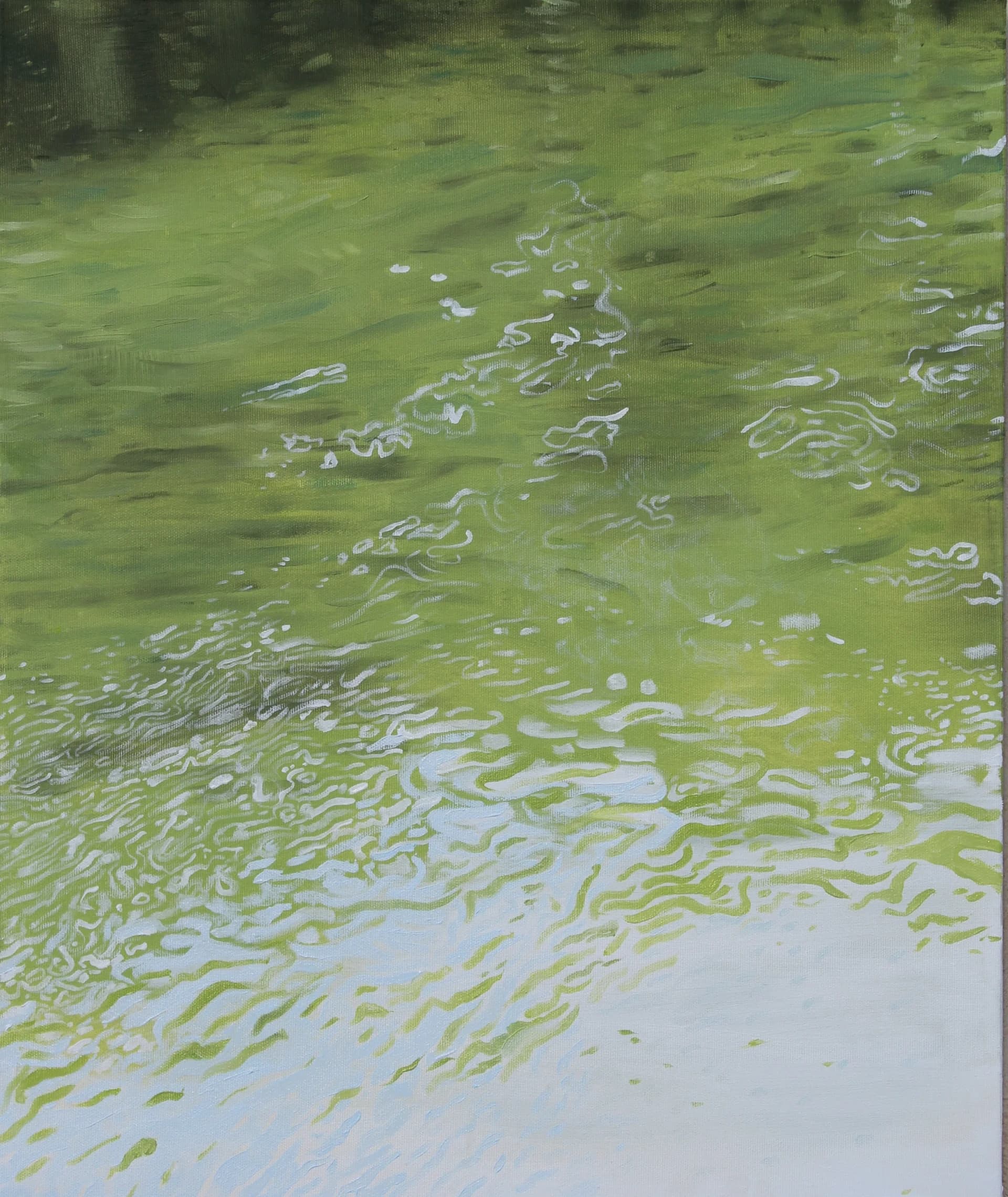 Japanese Reflections