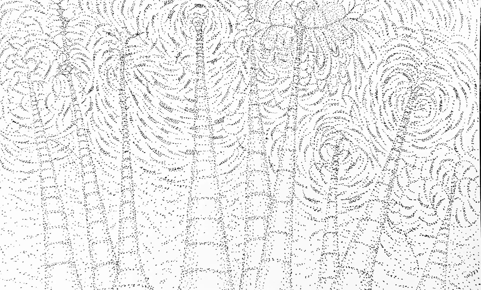 Date Palm Orchard