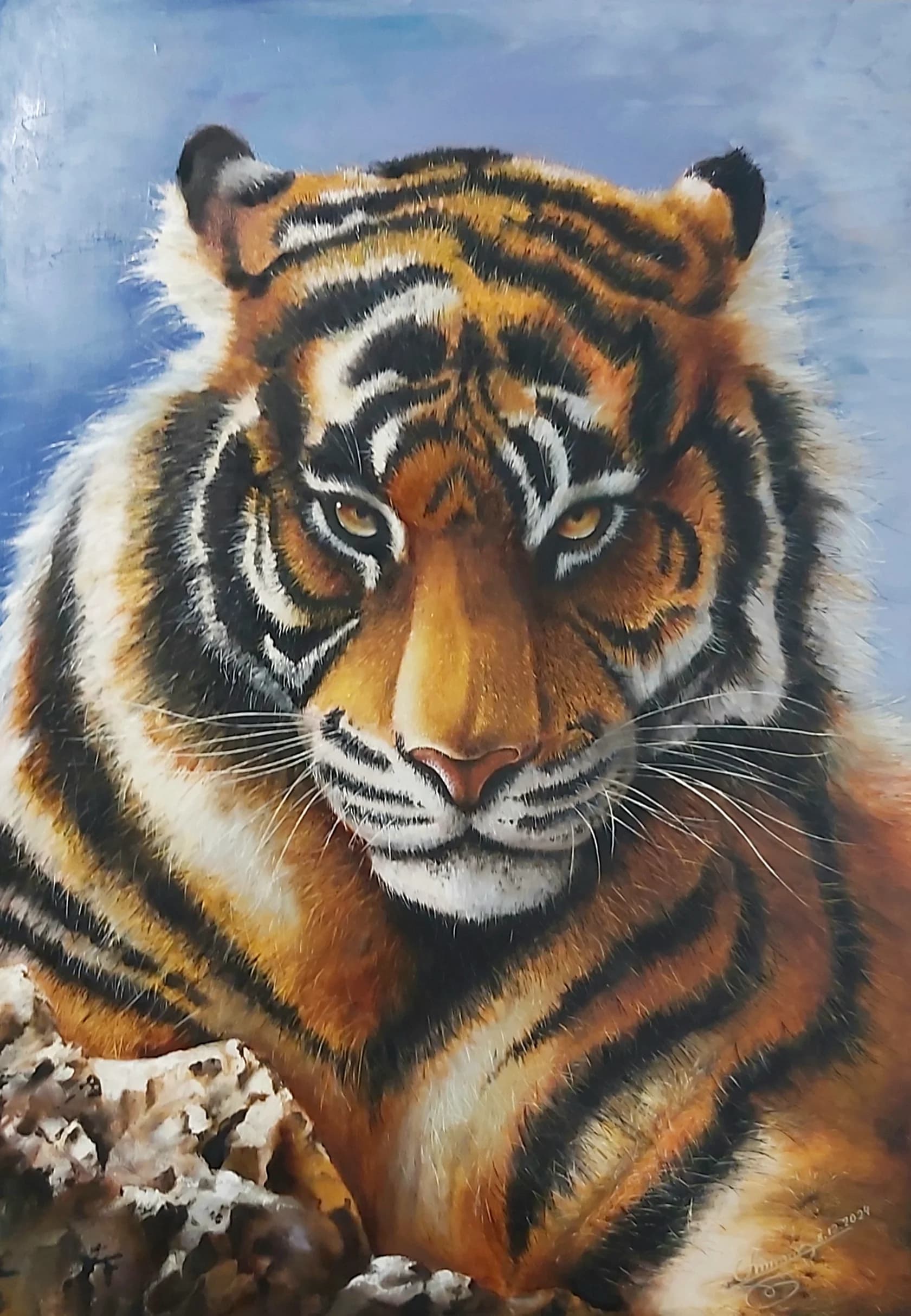 The Tiger's Gaze