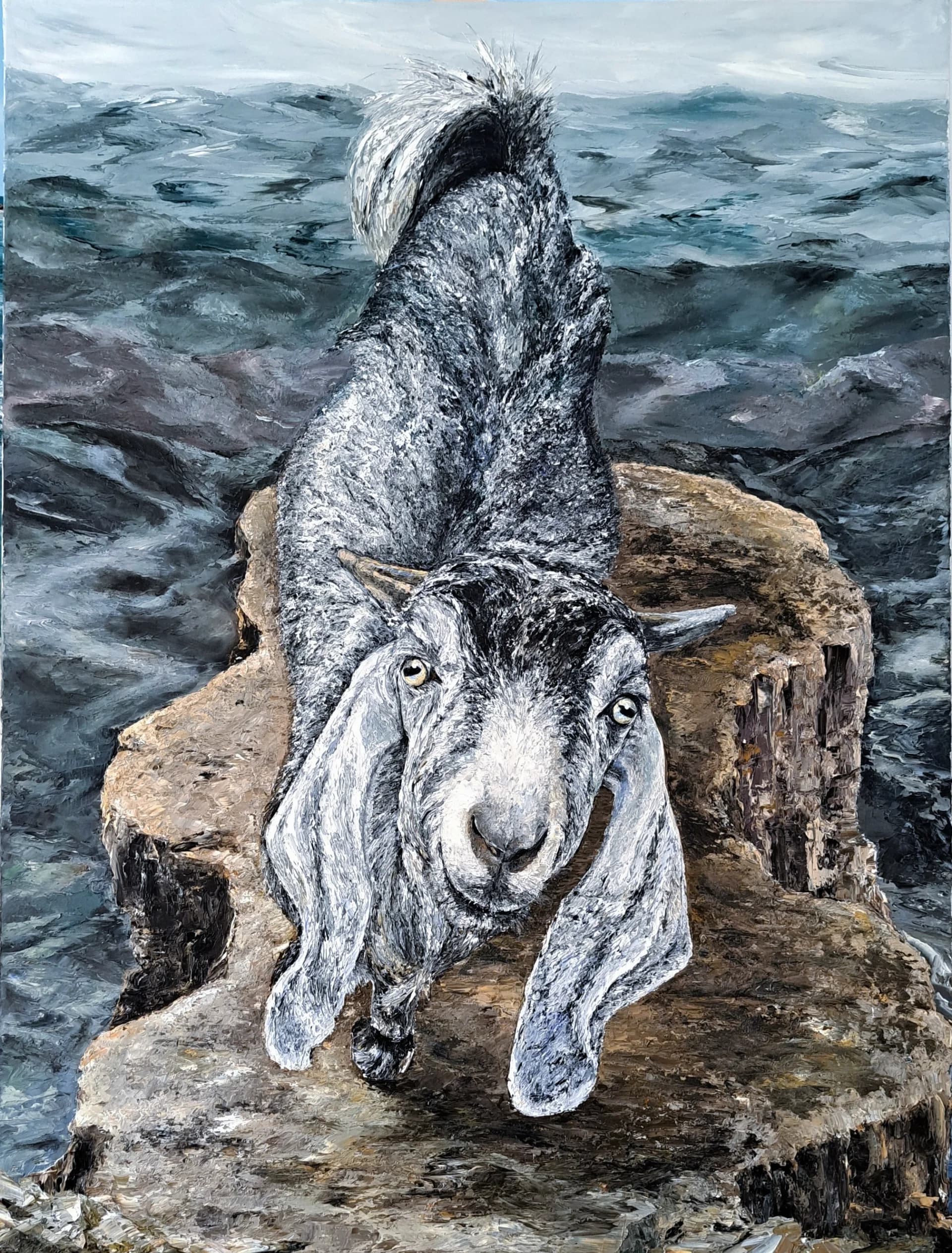 Mountain goat