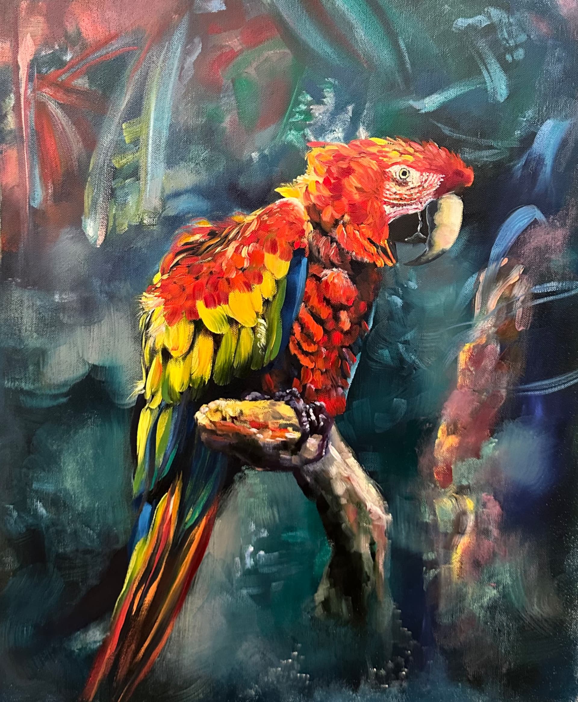 Scarlet Macaw in Teal
