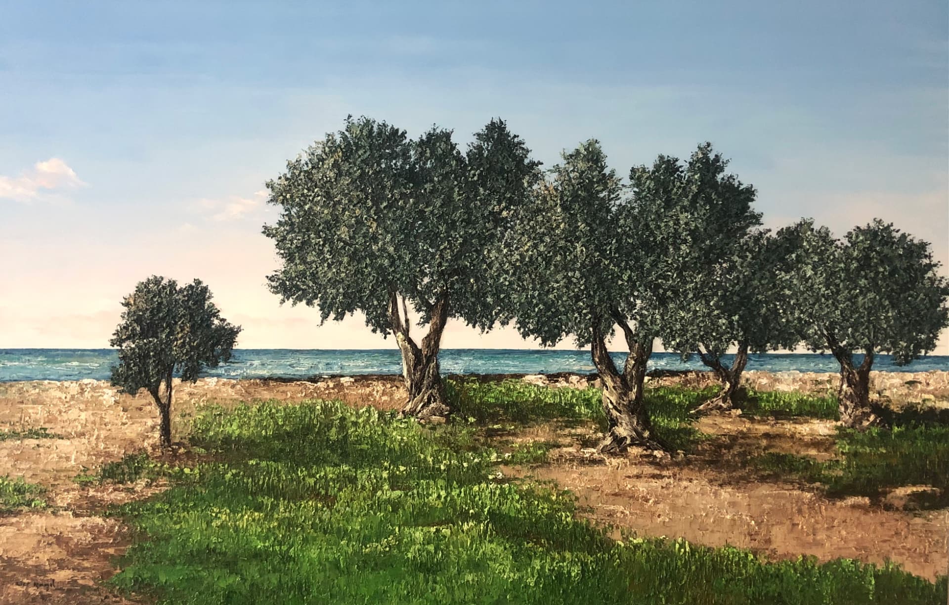 Olive Grove by the Sea