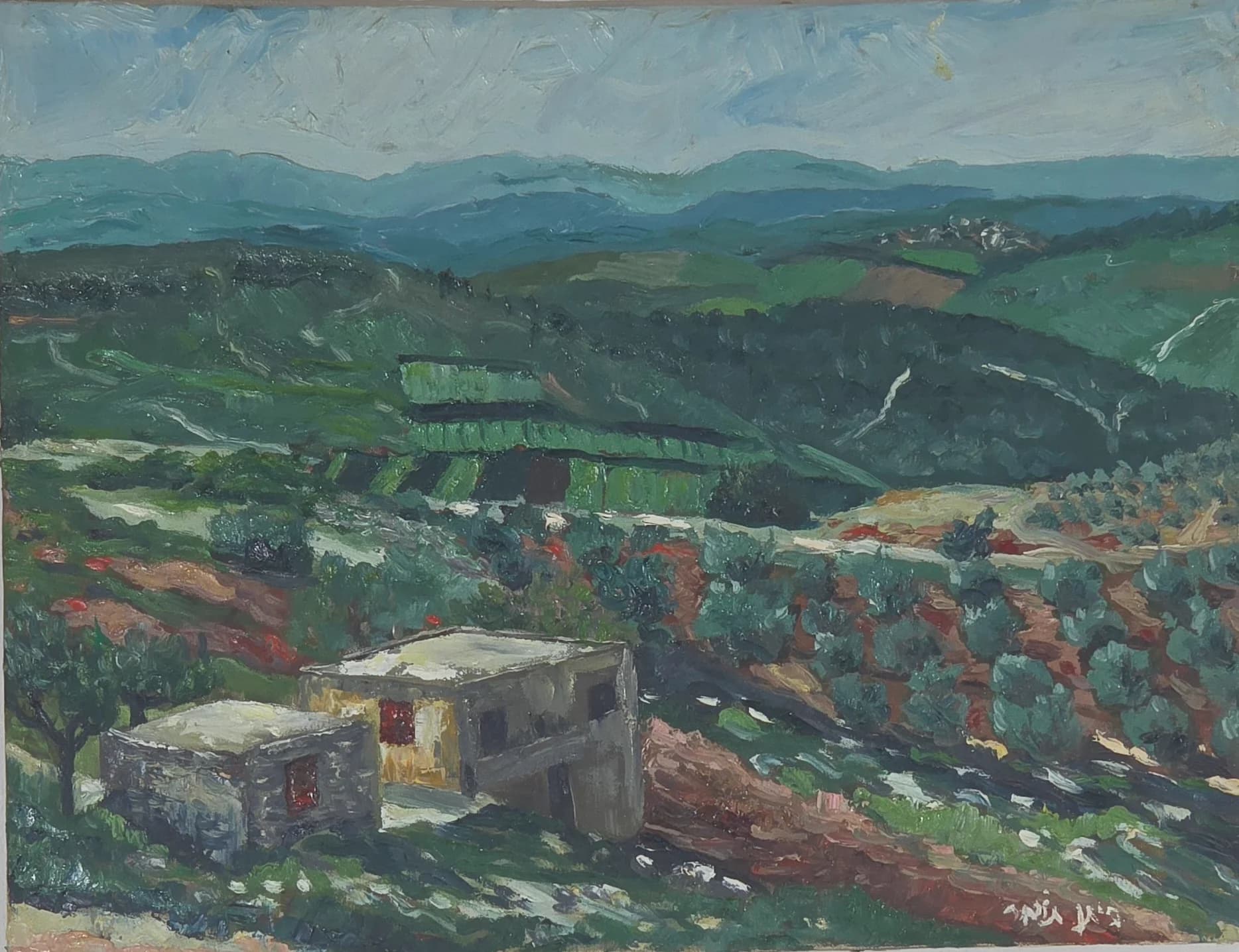 Terraced Hills Under Pale Sky