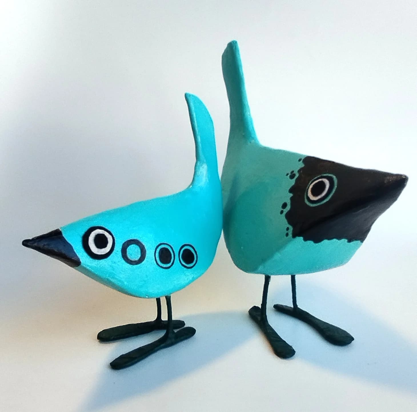A pair of curious turquoise birds