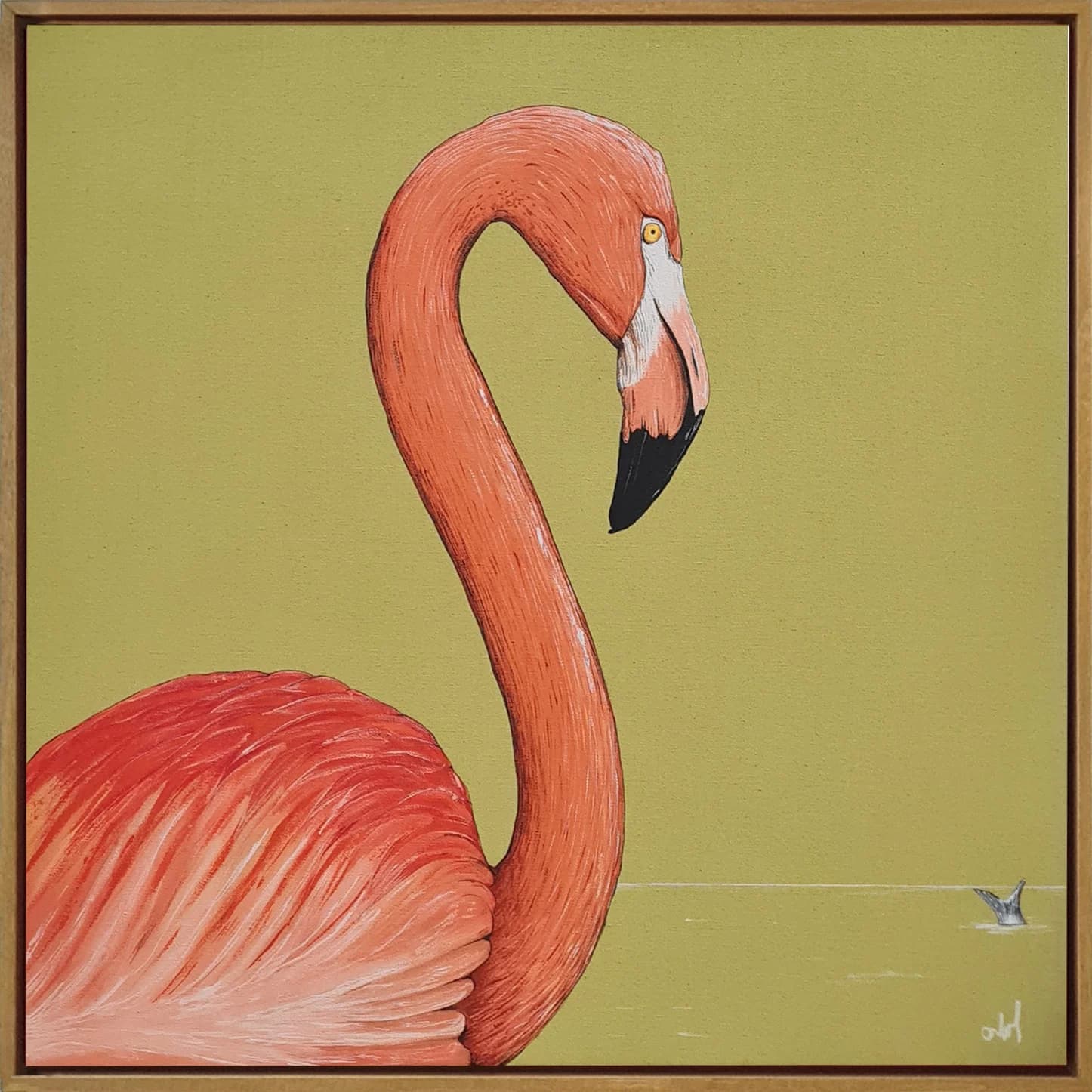 Flamingo Against Olive Green