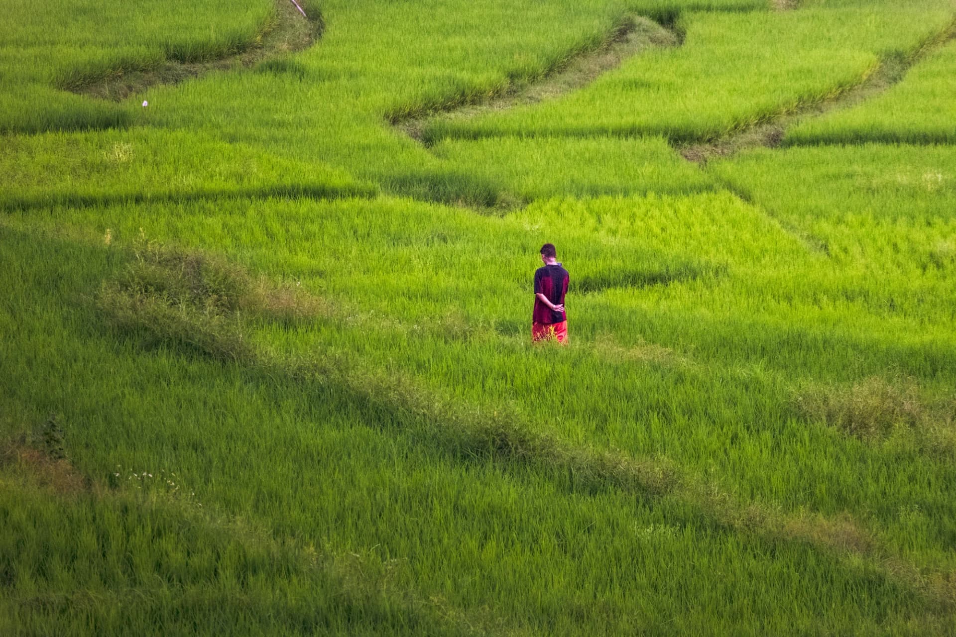Solitude in Green