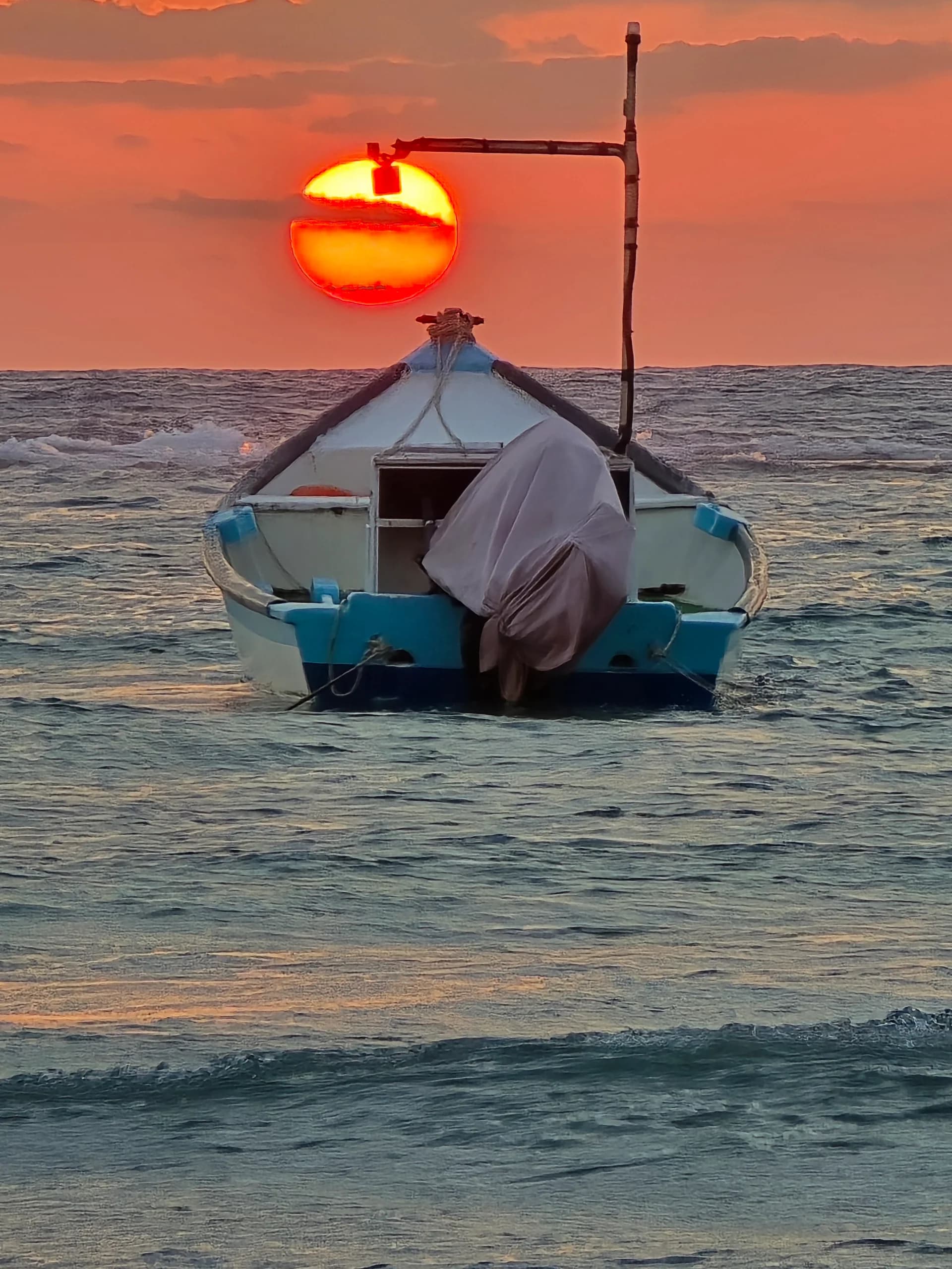 Nature's Chandelier
