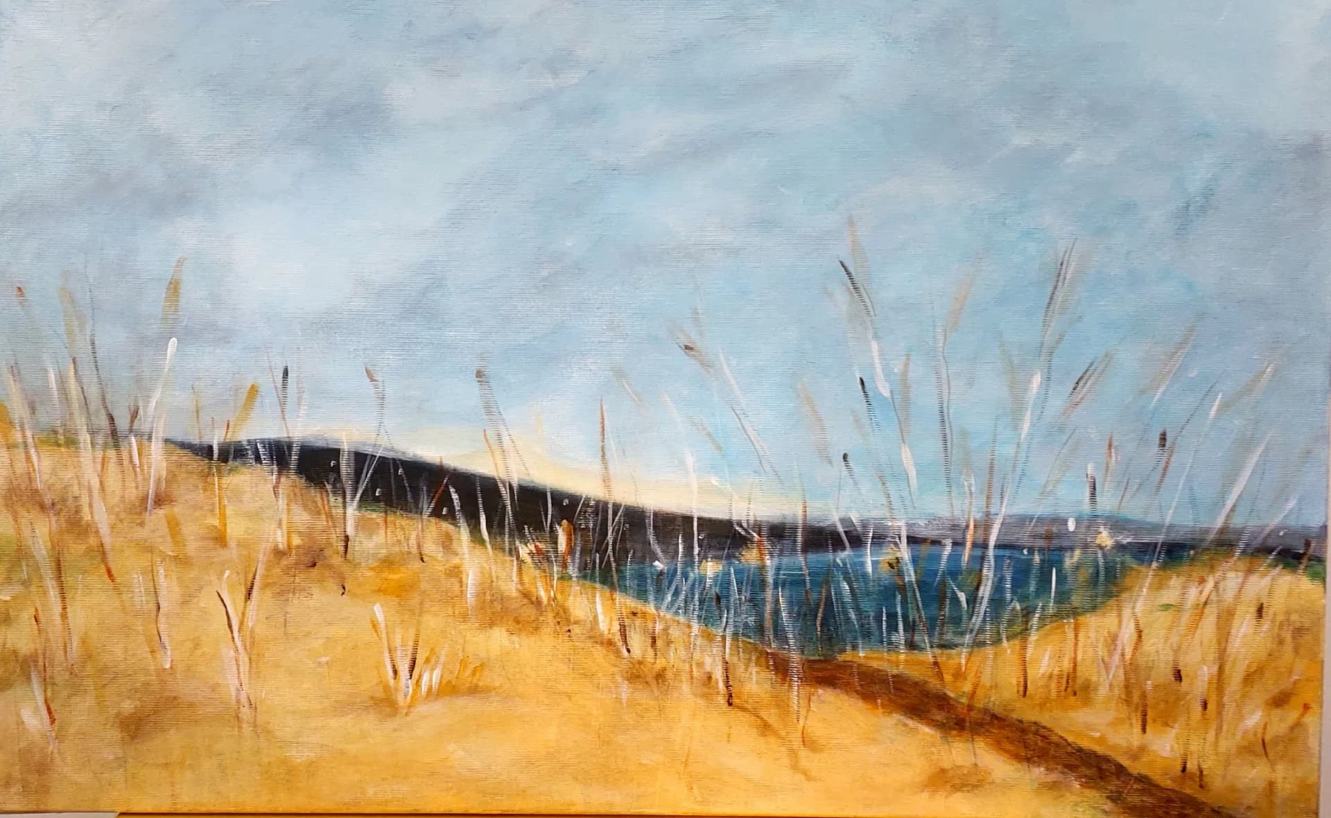 Path Through Golden Dunes