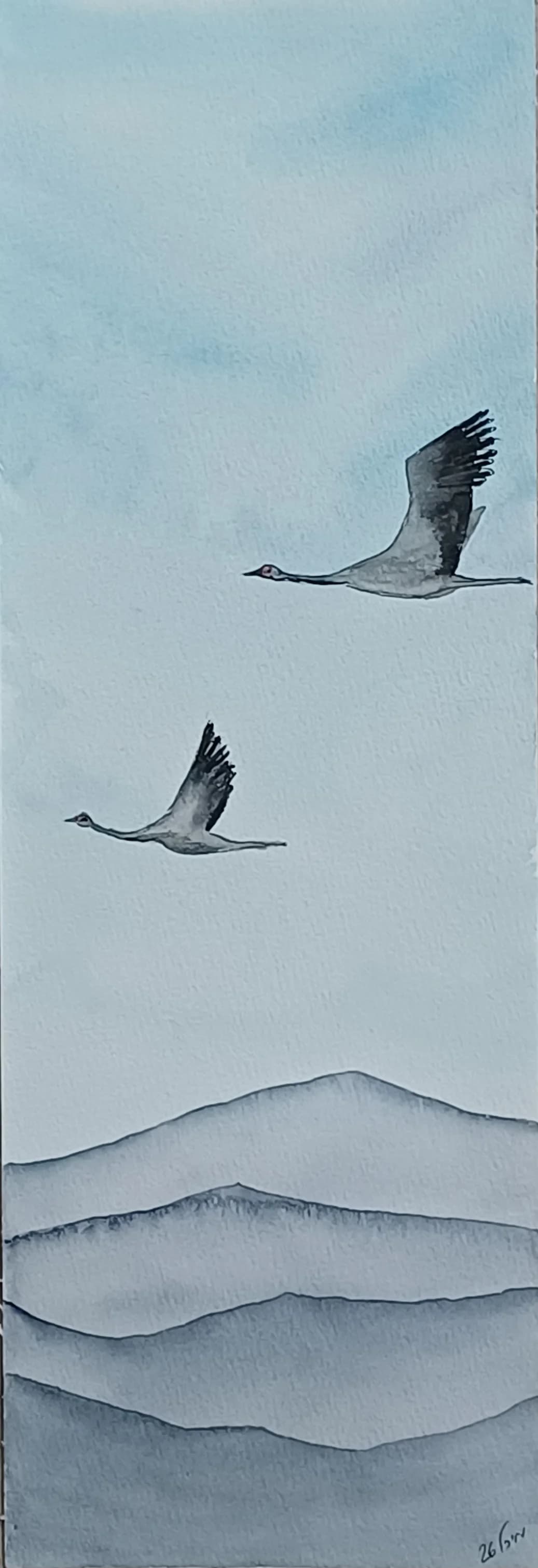 Migration Season