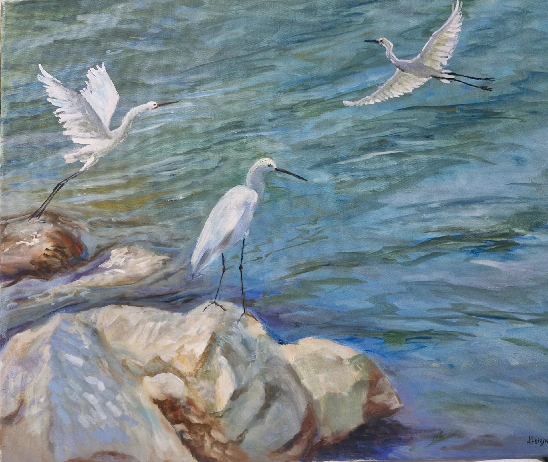 White Wings Above the Water