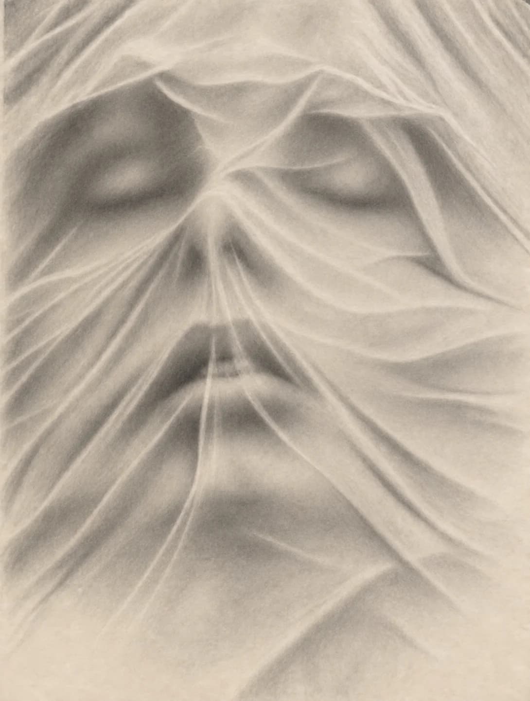 Veiled Stillness