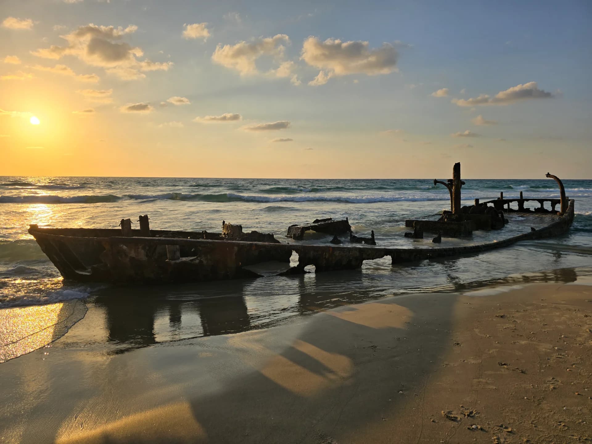 The Shipwreck Comes Back to Life