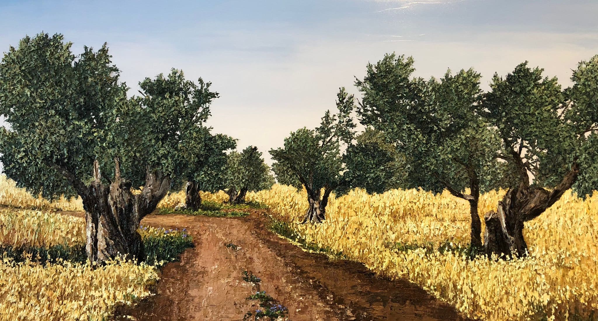 Lior Kimmel cover