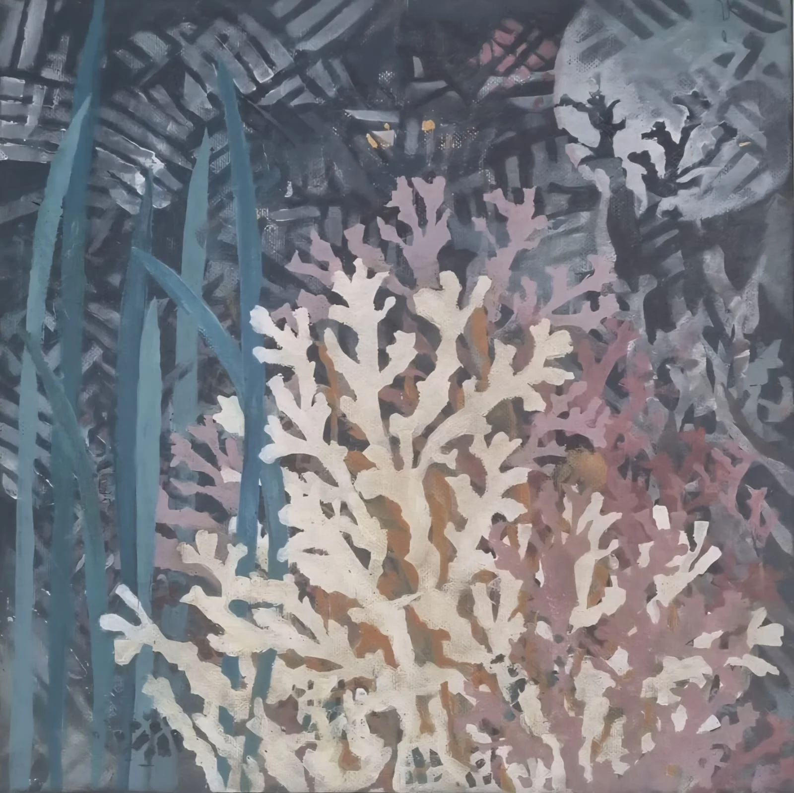 Orit Nusboim cover