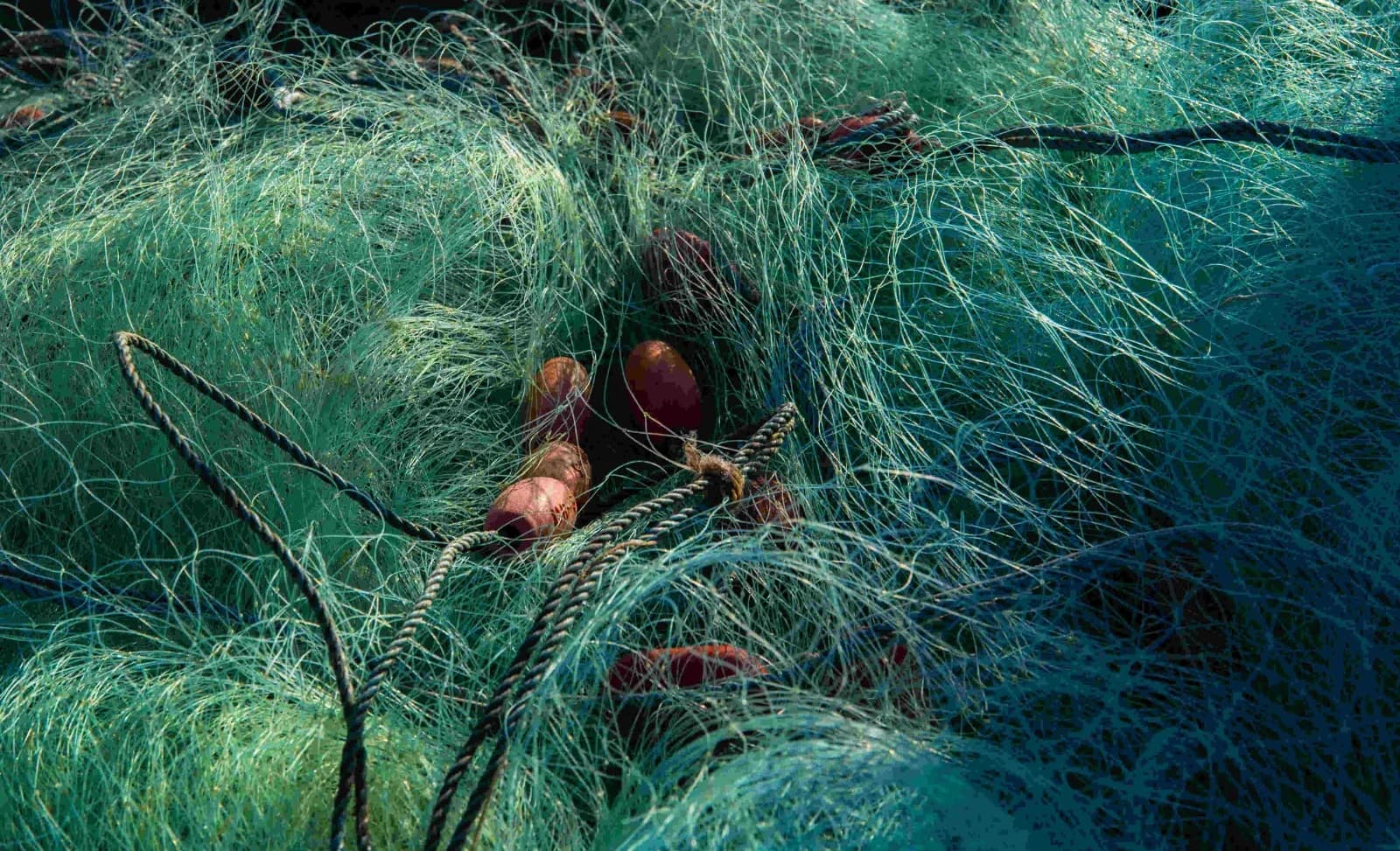 Joshua Rosalis artwork