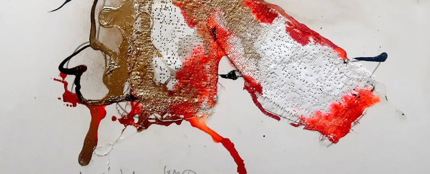 Ayala Lipson Levy cover