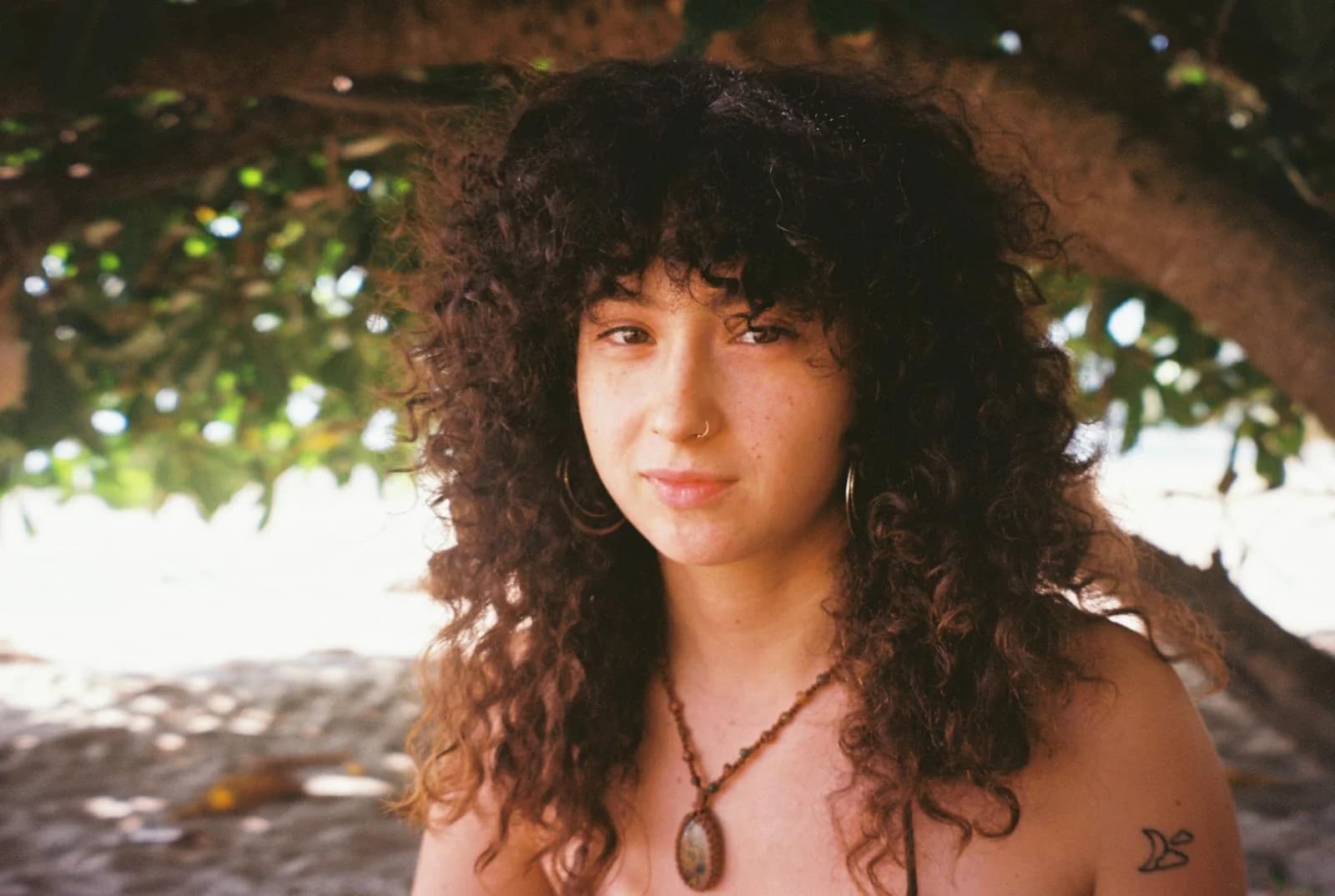 Shira Novotny