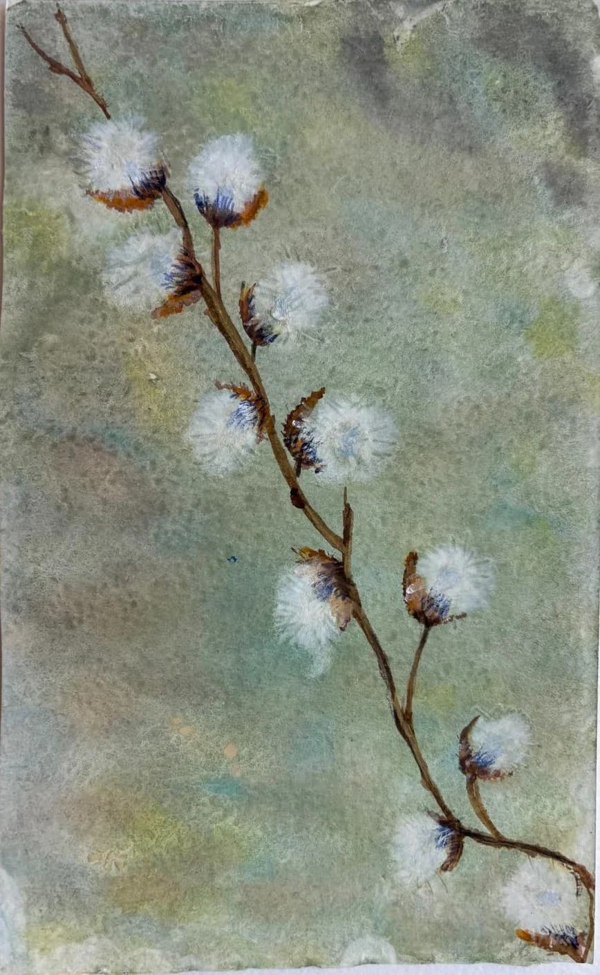Anat Maor cover