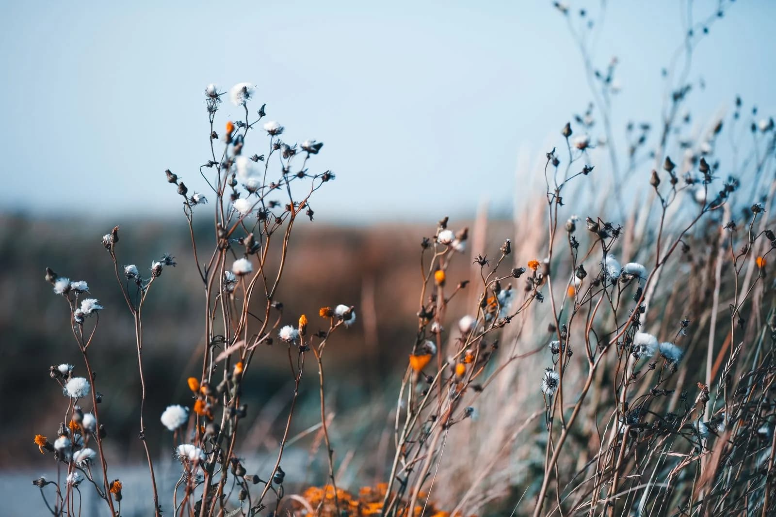 Ester Paloch artwork