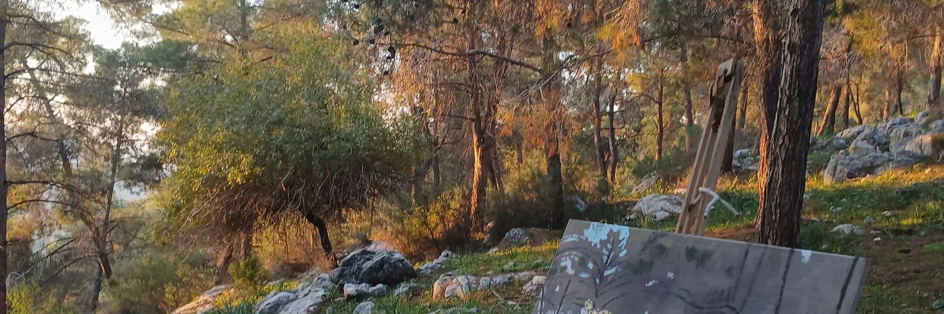 Elad shefa cover